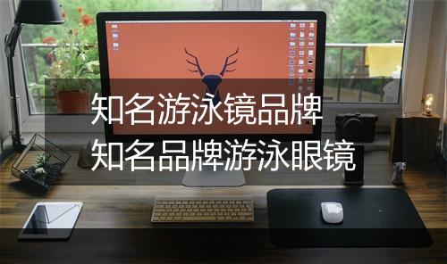 知名游泳镜品牌　知名品牌游泳眼镜